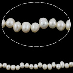 Barokna Kulturan Slatkovodni Pearl perle, top bušenih, bijel, ocjena, 7-8mm, Rupa:Približno 0.8mm, Prodano Per 14 inčni Strand