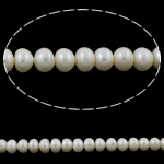 Button Gekweekte Zoetwater Parel kralen, wit, Grade AAA, 4-5mm, Gat:Ca 0.8mm, Per verkocht 15.5 inch Strand