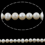 Barock odlad sötvattenspärla pärlor, Freshwater Pearl, Nuggets, naturlig, vit, 9-10mm, Hål:Ca 0.8mm, Såld Per 14 inch Strand