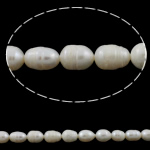 Rice ferskvandskulturperle Beads, Ferskvandsperle, Ris, naturlig, hvid, klasse A, 8-9mm, Hole:Ca. 0.8mm, Solgt Per 15.5 inch Strand