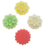 resina, Flor, traseira plana, cores misturadas, 17x8mm, 500PCs/Bag, vendido por Bag