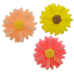 resina, Flor, traseira plana, cores misturadas, 13x3.50mm, 500PCs/Bag, vendido por Bag