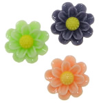 Resin, Flower, flad bagside, blandede farver, 13x5.50mm, 500pc'er/Bag, Solgt af Bag