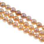 Cultured Potato Freshwater Pearl Beads natural stardust mixed colors 9-10mm Approx 0.8mm Sold Per Approx 15 Inch Strand