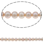 Button Kulturan Slatkovodni Pearl perle, Dugme, prirodan, svijetlo ljubičasta, 8-9mm, Rupa:Približno 0.8-1mm, Prodano Per Približno 15.3 inčni Strand