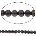 Runda odlad sötvattenspärla pärlor, Freshwater Pearl, naturlig, svart, Grade A, 9-10mm, Hål:Ca 0.8mm, Såld Per 15 inch Strand