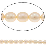 Rýže kultivované sladkovodní perle, Sladkovodní Pearl, přírodní, růžový, Grade AA, 8-9mm, Otvor:Cca 0.8mm, Prodáno za 15 inch Strand