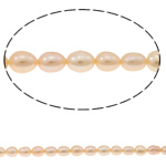 Ris odlad sötvattenspärla pärlor, Freshwater Pearl, naturlig, rosa, Grade A, 4-5mm, Hål:Ca 0.8mm, Såld Per 14.5 inch Strand