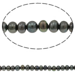 Knap ferskvandskulturperle Beads, Ferskvandsperle, Runde, mørkegrøn, 5-6mm, Hole:Ca. 0.8mm, Solgt Per 15 inch Strand