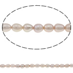 Rice Kulturan Slatkovodni Pearl perle, Riža, prirodan, ljubičasta boja, ocjena, 4-5mm, Rupa:Približno 0.8mm, Prodano Per 14.5 inčni Strand