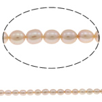 Rýže kultivované sladkovodní perle, Sladkovodní Pearl, přírodní, růžový, Grade, 4-5mm, Otvor:Cca 0.8mm, Prodáno za 14.5 inch Strand