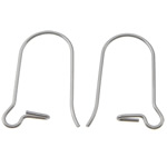 304 Cruach dhosmálta Hooks Earring Duán, dath bunaidh, 20x10x0.70mm, 1000Péirí/Mála, Díolta De réir Mála