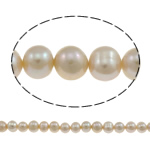 Krumpir Kulturan Slatkovodni Pearl perle, prirodan, roze, 8-9mm, Rupa:Približno 0.8-1mm, Prodano Per Približno 15 inčni Strand