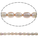 Rýže kultivované sladkovodní perle, Sladkovodní Pearl, přírodní, nachový, Grade, 7-8mm, Otvor:Cca 0.8mm, Prodáno za 14.5 inch Strand