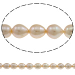 Ris odlad sötvattenspärla pärlor, Freshwater Pearl, rosa, Grade A, 10-11mm, Hål:Ca 0.8mm, Såld Per Ca 15.7 inch Strand