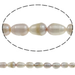 Rice Kulturan Slatkovodni Pearl perle, Riža, prirodan, ljubičasta boja, ocjena AA, 10-11mm, Rupa:Približno 0.8mm, Prodano Per 15 inčni Strand