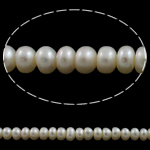 Cultured Button Freshwater Pearl Beads white 7-8mm Approx 0.8mm Sold Per Approx 15 Inch Strand