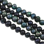 Barok Gekweekte Zoetwater Parel kralen, gemengde kleuren, Grade A, 5-6mm, Gat:Ca 0.8mm, Per verkocht 14.5 inch Strand