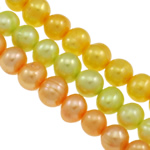 Cultured Baroque Freshwater Pearl Beads mixed colors Grade A 7-8mm Approx 0.8mm Length 15 Inch Sold By Bag