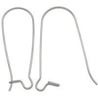 304 Cruach dhosmálta Hooks Earring Duán, dath bunaidh, 33x12.50x0.70mm, 1000Péirí/Mála, Díolta De réir Mála