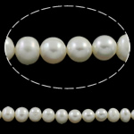 Brambor pěstované sladkovodní perle, Sladkovodní Pearl, přírodní, bílý, 8-9mm, Otvor:Cca 0.8mm, Prodáno za Cca 15.7 inch Strand