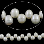 Rýže kultivované sladkovodní perle, Sladkovodní Pearl, přírodní, bílý, 9-10mm, Otvor:Cca 0.8mm, Prodáno za Cca 15.7 inch Strand