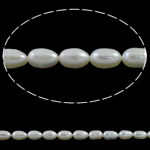 Rice ferskvandskulturperle Beads, Ferskvandsperle, Ris, naturlig, hvid, 5-6mm, Hole:Ca. 0.8mm, Solgt Per Ca. 15.7 inch Strand