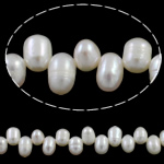 Ris odlad sötvattenspärla pärlor, Freshwater Pearl, naturlig, topp borrat, vit, 5-6mm, Hål:Ca 0.8mm, Såld Per Ca 15.7 inch Strand