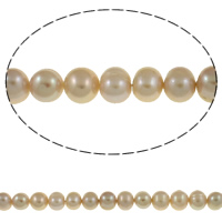 Potatis odlad sötvattenspärla pärlor, Freshwater Pearl, naturlig, purpur, 9-10mm, Hål:Ca 0.8mm, Såld Per Ca 14.7 inch Strand