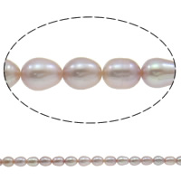 Ris odlad sötvattenspärla pärlor, Freshwater Pearl, naturlig, purpur, Grade A, 5-6mm, Hål:Ca 0.8mm, Såld Per 14.5 inch Strand