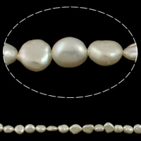 Coin odlad sötvattenspärla pärlor, Freshwater Pearl, naturlig, vit, 7-8mm, Hål:Ca 0.8mm, Såld Per Ca 15.3 inch Strand