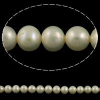 Kulaté kultivované sladkovodní perle, Sladkovodní Pearl, Kolo, přírodní, bílý, 7-8mm, Otvor:Cca 0.8mm, Prodáno za Cca 15 inch Strand