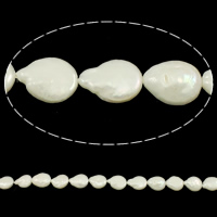 Coin Gekweekte Zoetwater Parel kralen, Muntstuk, natuurlijk, wit, 11-13mm, Gat:Ca 0.8mm, Per verkocht Ca 14.2 inch Strand