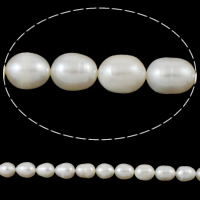 Ris odlad sötvattenspärla pärlor, Freshwater Pearl, naturlig, vit, 8-9mm, Hål:Ca 2mm, Såld Per Ca 14.5 inch Strand