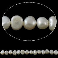 Barokní kultivované sladkovodní perle, Sladkovodní Pearl, Baroko, přírodní, bílý, 7-8mm, Otvor:Cca 0.8mm, Prodáno za Cca 15 inch Strand