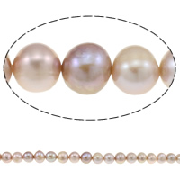 Brambor pěstované sladkovodní perle, Sladkovodní Pearl, přírodní, nachový, 8-9mm, Otvor:Cca 0.8-1mm, Prodáno za Cca 15.5 inch Strand