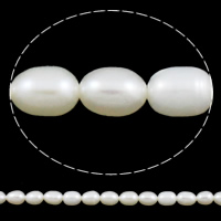 Rice Kulturan Slatkovodni Pearl perle, Riža, prirodan, bijel, 5-6mm, Rupa:Približno 0.8mm, Prodano Per Približno 15 inčni Strand