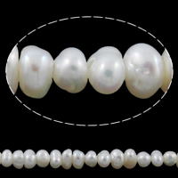 Brambor pěstované sladkovodní perle, Sladkovodní Pearl, přírodní, bílý, 2-3mm, Otvor:Cca 0.8mm, Prodáno za Cca 14.3 inch Strand