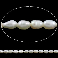 Rice Kulturan Slatkovodni Pearl perle, Riža, prirodan, bijel, 3-4mm, Rupa:Približno 0.8mm, Prodano Per Približno 15 inčni Strand