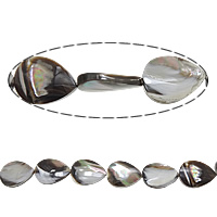 Barr Shell Bead, Teardrop, 20x15x5mm, Poll:Thart 1mm, Fad Thart 16 Inse, 5Snáitheanna/Lot, Díolta De réir Lot