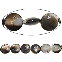 Início Shell grânulos, miçangas, Roda plana, 10x4mm, Buraco:Aprox 1mm, comprimento Aprox 15.5 inchaltura, 5vertentespraia/Lot, vendido por Lot