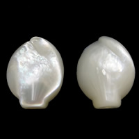 Coirníní Bán Shell Nádúrtha, 12x16x5mm, Poll:Thart 1mm, 20ríomhairí pearsanta/Lot, Díolta De réir Lot