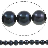 Kulaté kultivované sladkovodní perle, Sladkovodní Pearl, Kolo, přírodní, černý, 11-12mm, Otvor:Cca 0.8mm, Prodáno za Cca 15.3 inch Strand