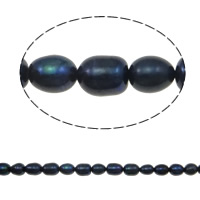 Rice ferskvandskulturperle Beads, Ferskvandsperle, Ris, naturlig, sort, klasse A, 6-7mm, Hole:Ca. 0.8mm, Solgt Per 14 inch Strand