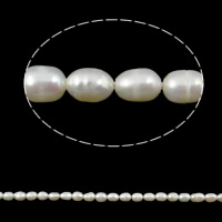 Ris odlad sötvattenspärla pärlor, Freshwater Pearl, vit, Grade A, 2-3mm, Hål:Ca 0.8mm, Såld Per 14 inch Strand