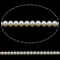 Button Gekweekte Zoetwater Parel kralen, Knop, natuurlijk, wit, 6mm, Gat:Ca 0.8mm, Per verkocht Ca 15.3 inch Strand