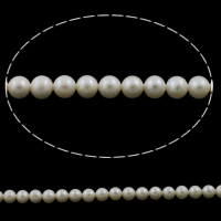 Cultured Potato Freshwater Pearl Beads natural white 6mm Approx 0.8mm Sold Per Approx 15 Inch Strand