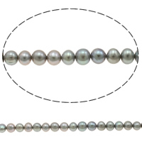 Brambor pěstované sladkovodní perle, Sladkovodní Pearl, přírodní, nachový, 7-8mm, Otvor:Cca 0.8mm, Prodáno za Cca 15 inch Strand