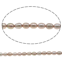 Rýže kultivované sladkovodní perle, Sladkovodní Pearl, přírodní, nachový, 4mm, Otvor:Cca 0.8mm, Prodáno za Cca 15.3 inch Strand