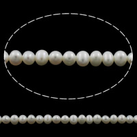 Button Gekweekte Zoetwater Parel kralen, Knop, natuurlijk, wit, 3.6-4mm, Gat:Ca 0.8mm, Per verkocht Ca 15.5 inch Strand